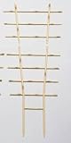 Produkt-Bild: Schumm Blumengitter 77 cm Bambus 11690521