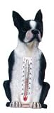 Outdoor Living : Boston Terrier Thermometer