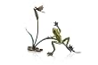 Rainforest Frog with Dragonfly