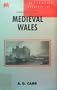 Medieval Wales (British History in Perspective)