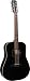 Alvarez MD710BK-12 Masterworks Series Dreadnought Acoustic Guitar, Black, 12 String with Hard Case