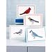 Glittered Bird Card Kit