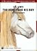 The Horse and His Boy (Logos School Reading Comprehension Guide)