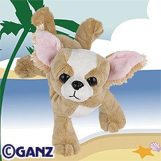Webkinz Chihuahua by Ganz