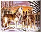 : Senior Paint By Number Set Wolf Scene
