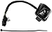 Dorman 590-613 Park Assist Camera for Select Kia Forte Koup Models