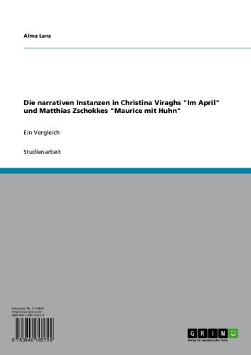 Die narrativen Instanzen in Christina Viraghs 