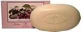 Saponificio Artigianale Fiorentino Arte E Profumi Plum 10.5 Oz. Soap Bar From Italy