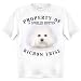 Bichon Frise Property Of Adult T Shirt