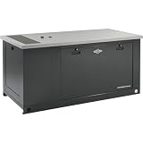 portable generators:Briggs & Stratton 76031 45,000 Watt IntelliGen Natural Gas/Liquid Propane Powered Liquid Cooled Home Standby Generator (CARB Compliant)