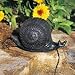 Snail