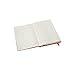 Moleskine 2013-2014 Weekly Planner, Horizontal, 18 Month, Large, Red, Hard Cover (5 x 8.25)