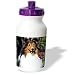 image 18 - Dogs SheltieShetland Sheepdog Shetland Sheepdog Water Bottles