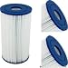 Unicel Hot Springs Spa Filter, C-6430