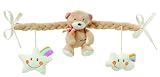 Eigenschaften Fehn 160697 / Fehn 160697 Kinderwagenkette Teddy mit Rassel und Quietsche