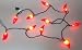 Chili Pepper Light Set