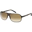 Tommy Hilfiger 1010/S Adult Outdoor Sunglasses - Matte Brown/Brown Gradient