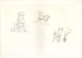Landseer Works Example I Dogs