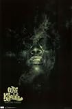 Professionally Plaqued Wiz Khalifa Rolling Papers Music Poster Print - 22x34 with RichAndFramous Black WoodMounting