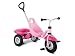 Puky 2339 - Carry Touring Kipper Luft