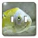 Kike Calvo Animals - Picturing fish in the biggest river aquarium in Europe - Light Switch Covers - double toggle switch