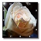 The Rose Ivory Rose with Water Drops - 10x10 Wall Clock