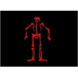 Pirate - Pirate Ed Low - Flag 3ft x 5ft Printed Polyester