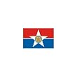 Dallas City Flag 3ft x 5ft Nylon