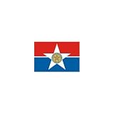 Dallas City Flag 3ft x 5ft Nylon