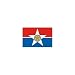 Dallas City Flag 3ft x 5ft Nylon