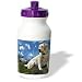 labrador43  - Dogs Labrador Retriever Labrador Retriever Water Bottles
