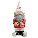 University of Wisconsin Badgers Garden Gnome