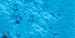 Doodlebug Crushed Velvet Flock 5-1/2 Gram Bottle, Swimming Pool