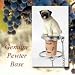 Pug Brown Wine Bottle Stopper