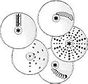 KitchenAid 9- or 12-cup Food Processor Disc Set