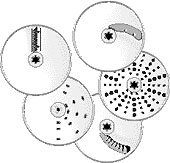 KitchenAid 9 and 12-Cup Food Processor 5-Disc Set