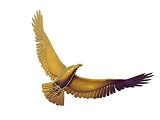 Gold Eagle - 24
