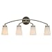 Murray Feiss VS15804-BS, Tribeca Glass Wall Vanity Lighting, 4 Light, 400 Total Watts, Steel