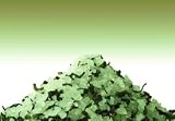 Green Tea Signature Botanical Bulk Bath Salts Blend - 20 Lbs.