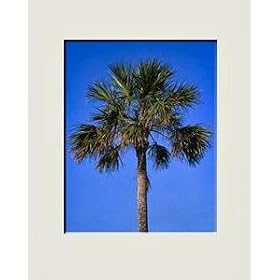 Nielsen Bainbridge Mat in Antique-White Portrait/Centered-8x10/11x14 - 8x10