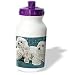Dogs Maltese - Two Maltese - Water Bottles