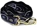 Premier 1 in x 6 ft Leash - SILVER  BLUE