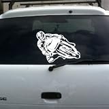 Motorcycle Racing vinyl decal large 