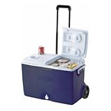60QT Victory WHL Cooler