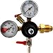Double Gauge Nitrogen Regulator