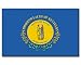 Kentucky  Flagge Fahne 90 * 150 cm