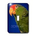 Birds - Green Cheeked Amazon Parrot - Light Switch Covers - single toggle switch
