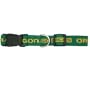 NCAA Dog Collar, Medium, University of Oregon Ducks