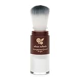 Alison Raffaele Transparent Finish to Go Refillable Dispensing Brush 1 ea
