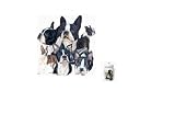 10 Porcelain Treat Jar - Barbara Keith's Gallery Collection of Boston Terriers